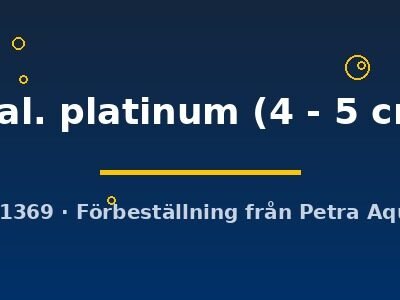scal. platinum (4 - 5 cm)