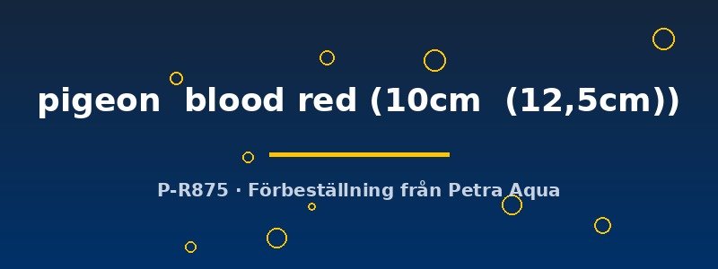 petra-ph-174735 Discus original Stendker pigeon blood red 10–12,5 cm