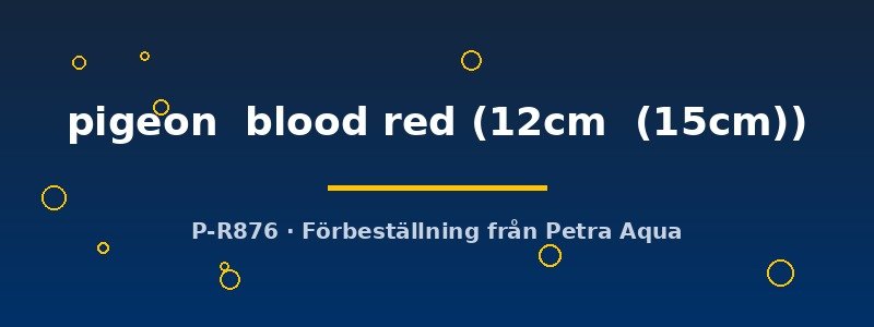 petra-ph-174736 Discus original Stendker pigeon blood red 12–15 cm