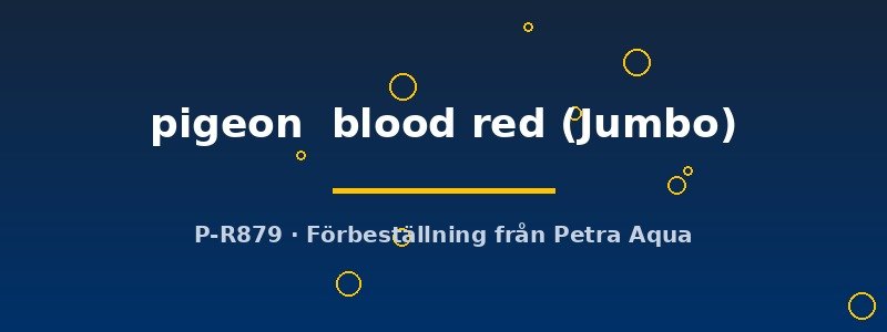 petra-ph-174739 Discus original Stendker pigeon blood red Jumbo