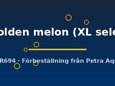 Symphysodon yellow golden melon XL selection HQ