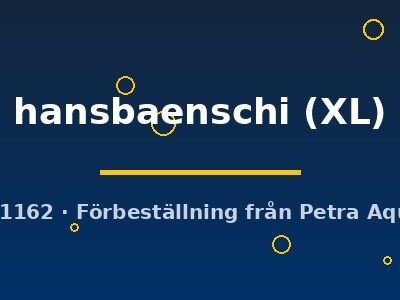 hansbaenschi (XL)