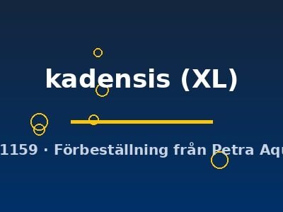 kadensis (XL)