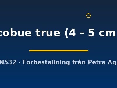 cobue true (4 - 5 cm)