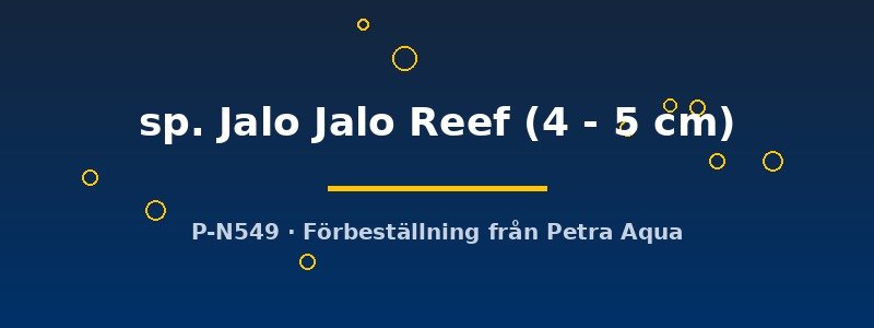petra-ph-175524 Cynotilapia sp. Jalo Jalo Reef 4–5 cm