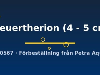 theuertherion (4 - 5 cm)