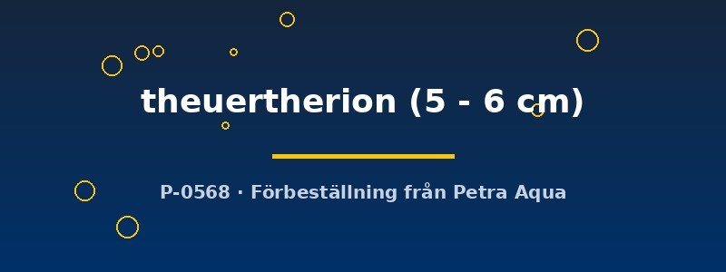 petra-ph-175678 petra-ph-175678