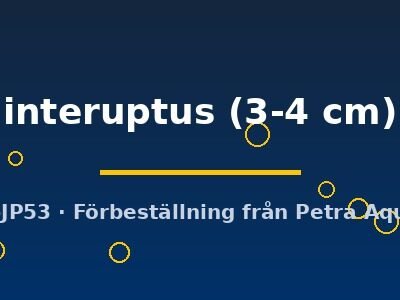 interuptus (3-4 cm)