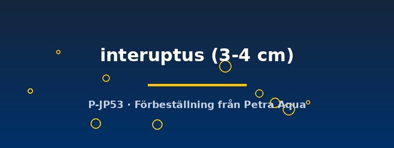 petra-ph-175828 petra-ph-175828