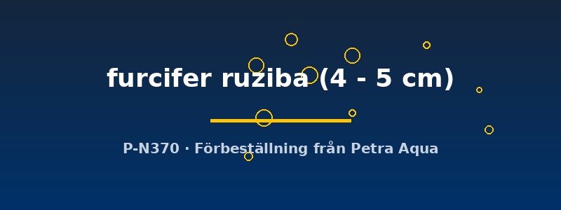 petra-ph-176228 petra-ph-176228