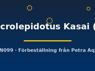 microlepidotus Kasai (S)