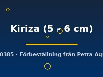 Kiriza (5 - 6 cm)