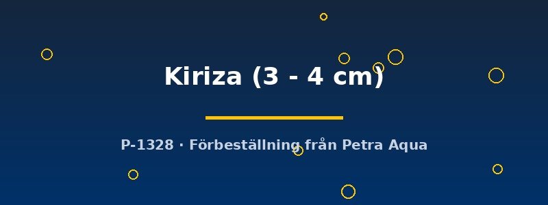petra-ph-176333 petra-ph-176333