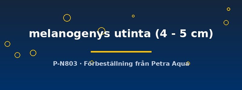 petra-ph-176345 petra-ph-176345