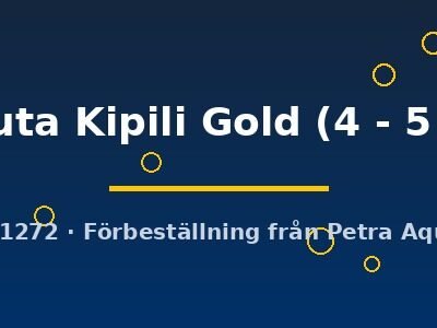 nasuta Kipili Gold (4 - 5 cm)