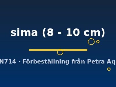 sima (8 - 10 cm)