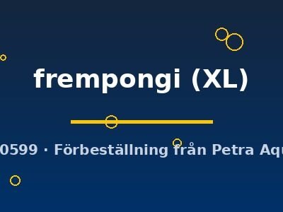 Hemichromis frempongi XL