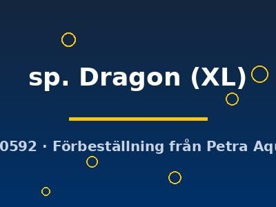 Hemichromis letourneuxi sp. Dragon XL