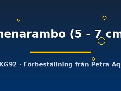 Paretroplus menarambo 5–7 cm