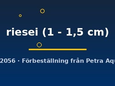 riesei (1 - 1,5 cm)