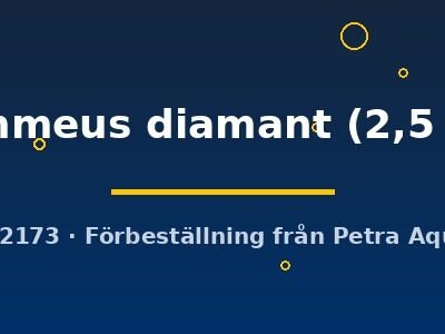 flammeus diamant (2,5 cm)