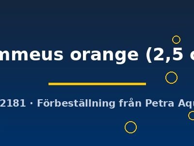 flammeus orange (2,5 cm)