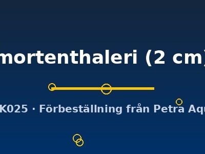 mortenthaleri (2 cm)