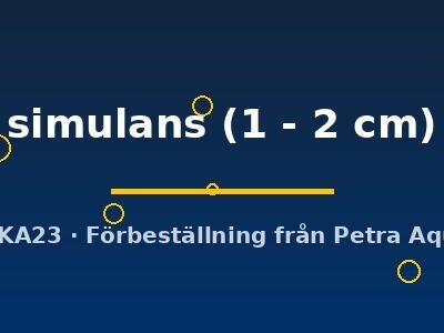 simulans (1 - 2 cm)