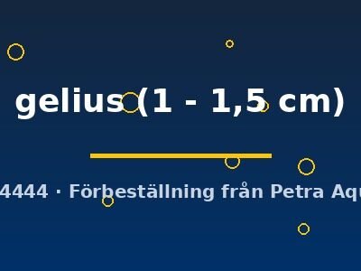 gelius (1 - 1,5 cm)
