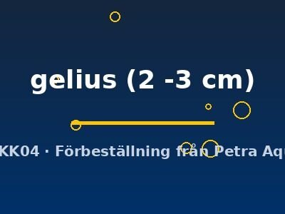 gelius (2 -3 cm)