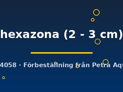 hexazona (2 - 3 cm)