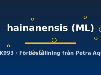 hainanensis (ML)