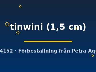 tinwini (1,5 cm)