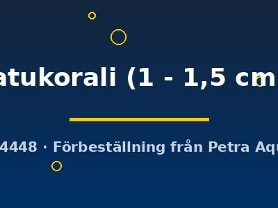 Horadandia atukorali 1–1,5 cm