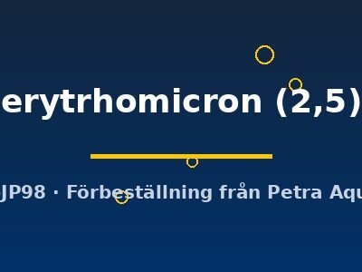 Microrasbora erytrhomicron 2,5