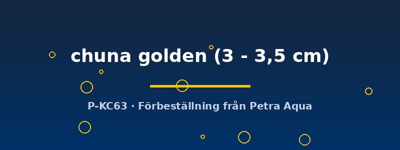 petra-ph-178051 Colisa chuna golden 3–3,5 cm