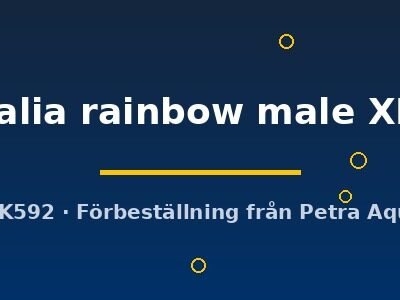 lalia rainbow male XL
