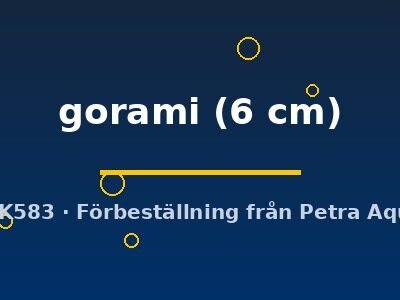 gorami (6 cm)
