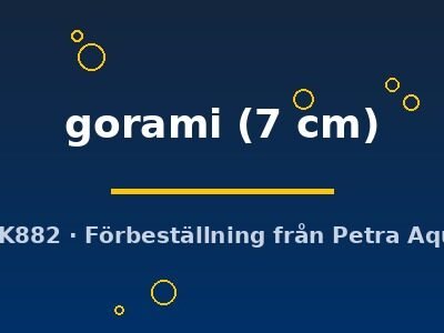 gorami (7 cm)