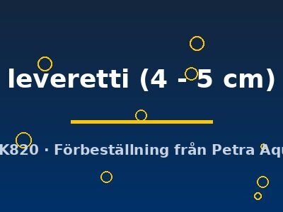 leveretti (4 - 5 cm)