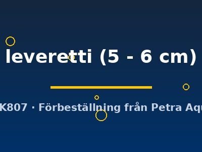 leveretti (5 - 6 cm)