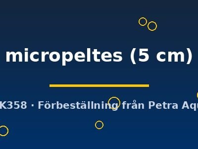 Giant snakehead (Channa micropeltes) 5 cm