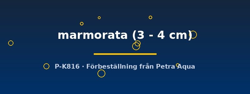 petra-ph-178442 petra-ph-178442