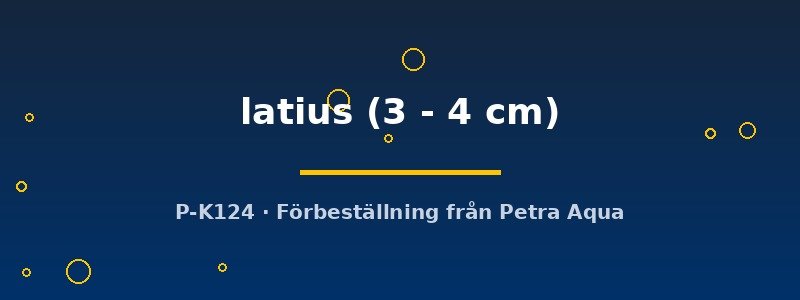 petra-ph-178541 petra-ph-178541
