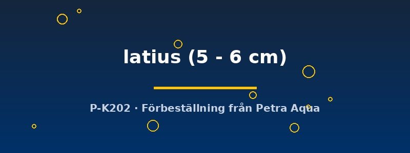 petra-ph-178542 petra-ph-178542
