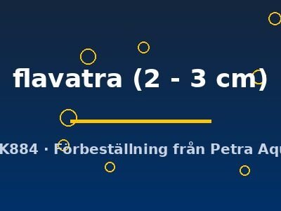 flavatra (2 - 3 cm)