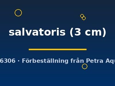 salvatoris (3 cm)