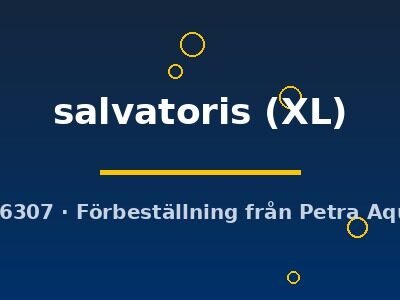 salvatoris (XL)