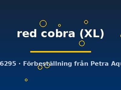 red cobra (XL)
