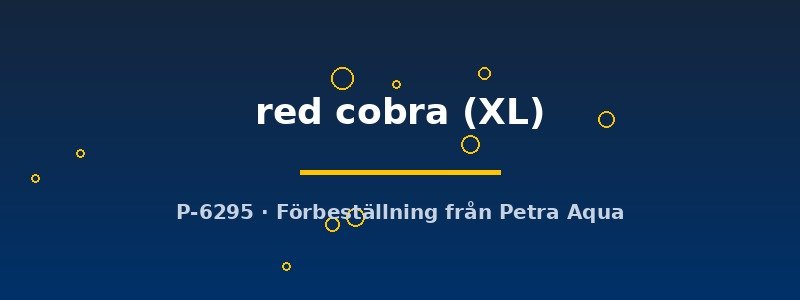 petra-ph-179178 petra-ph-179178